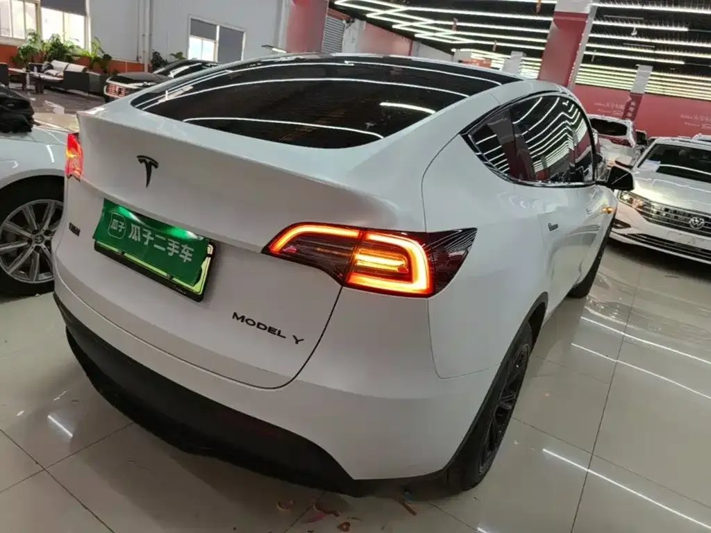 Tesla Model Y — фото 9