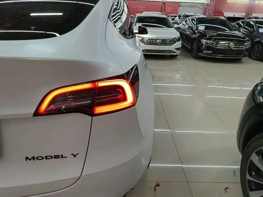 Tesla Model Y — фото 3