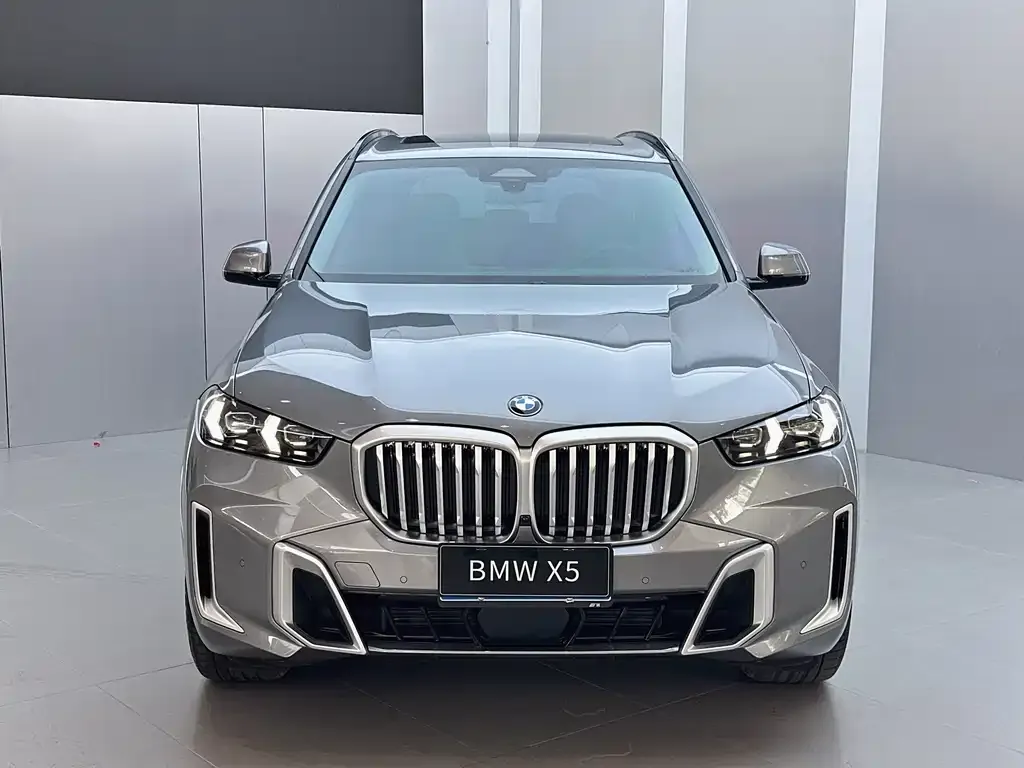 BMW X5 — фото 9