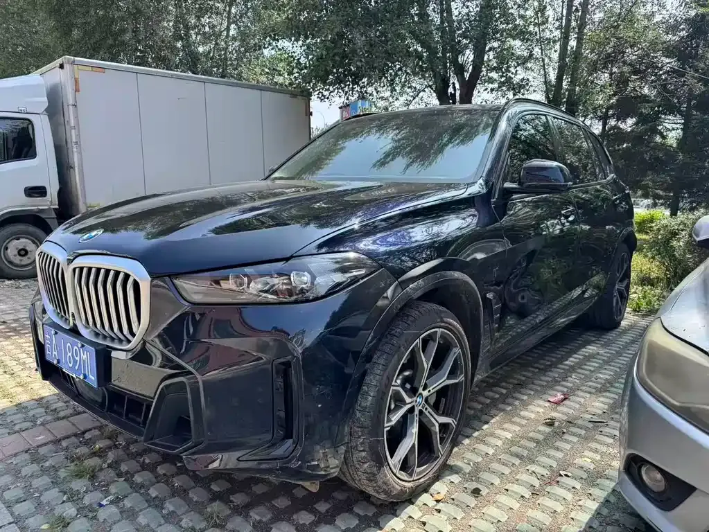 BMW X5 — фото 1