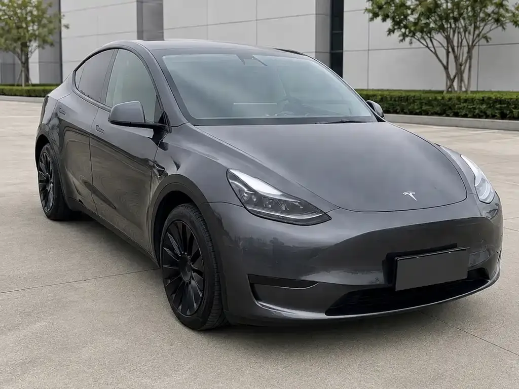Tesla Model Y — фото 1