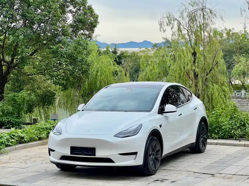 Tesla Model Y — фото 1