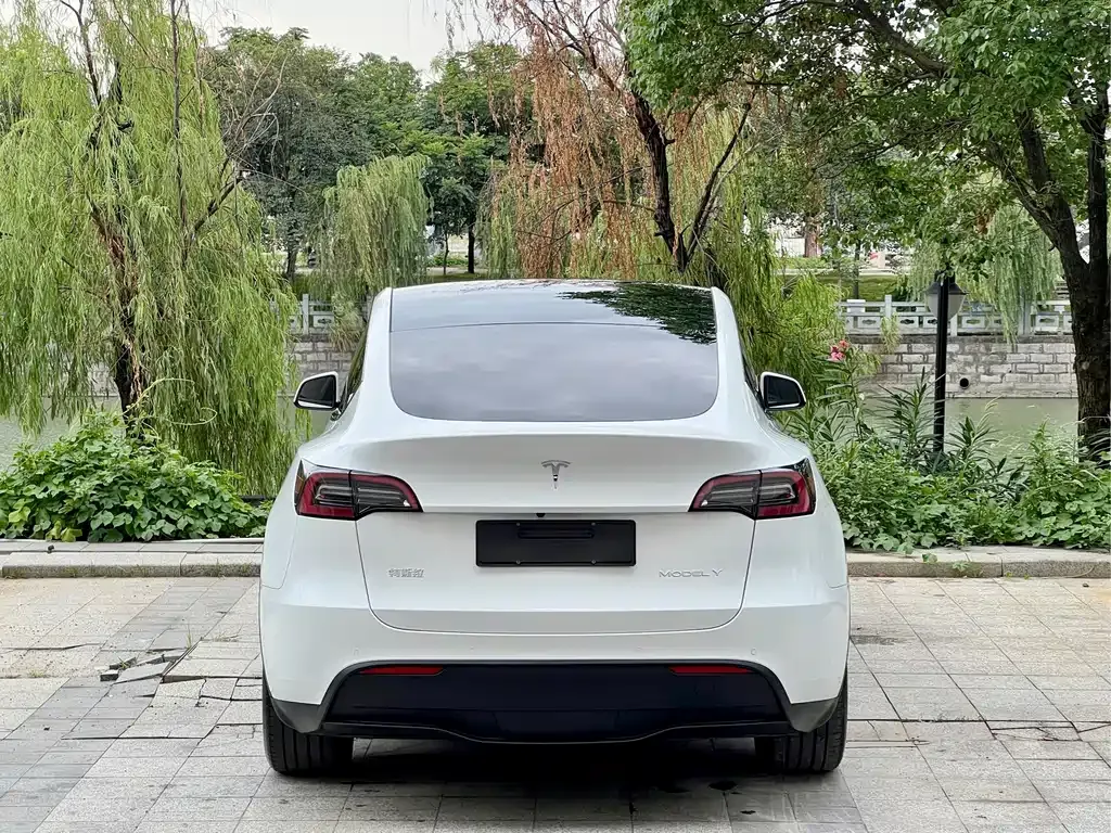 Tesla Model Y — фото 8