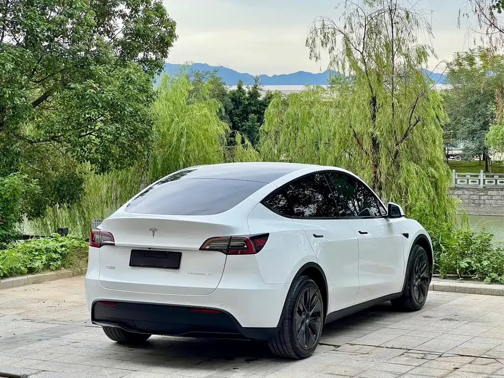 Tesla Model Y — фото 10