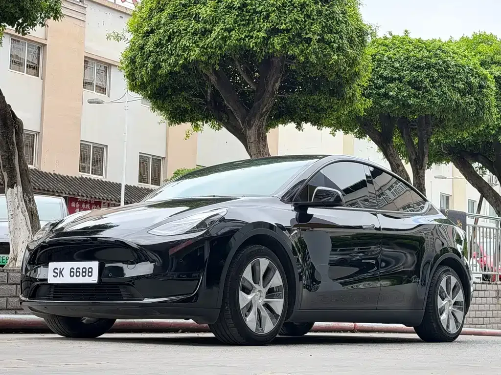 Tesla Model Y — фото 1