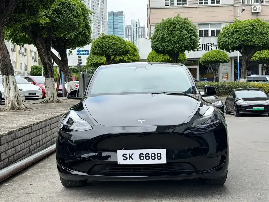 Tesla Model Y — фото 9