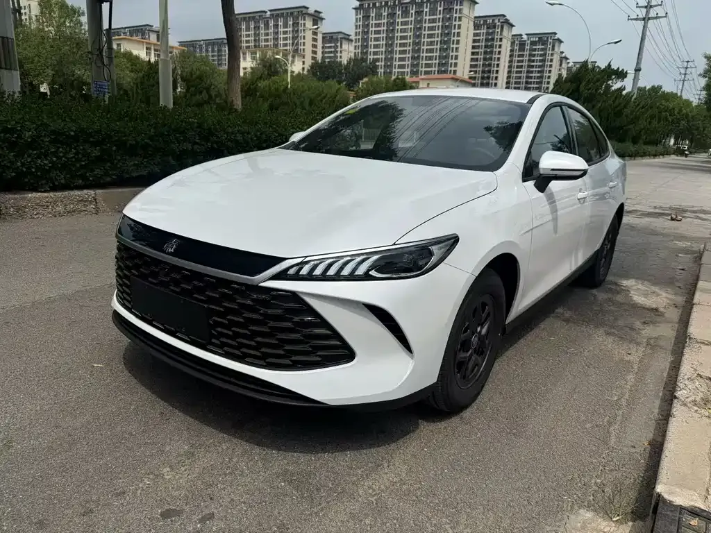 BYD Qin PLUS — фото 1