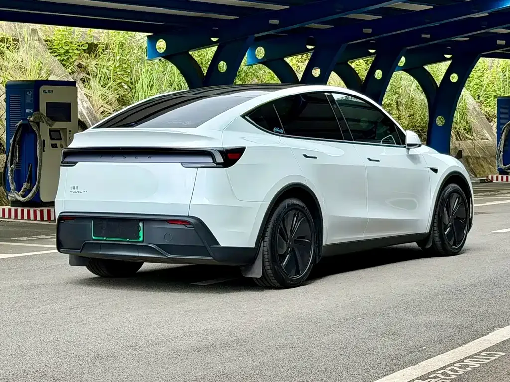 Tesla Model Y — фото 5