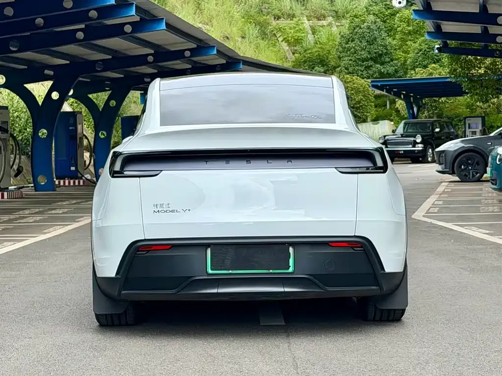 Tesla Model Y — фото 2