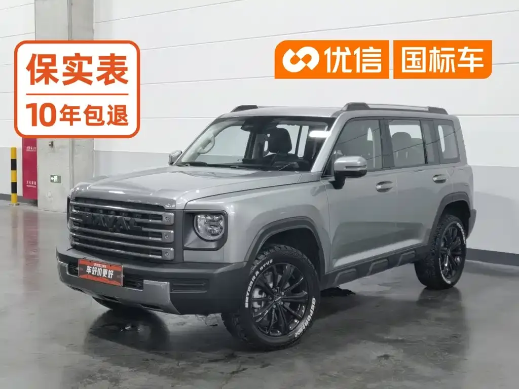Haval Menglong New Energy — фото 1