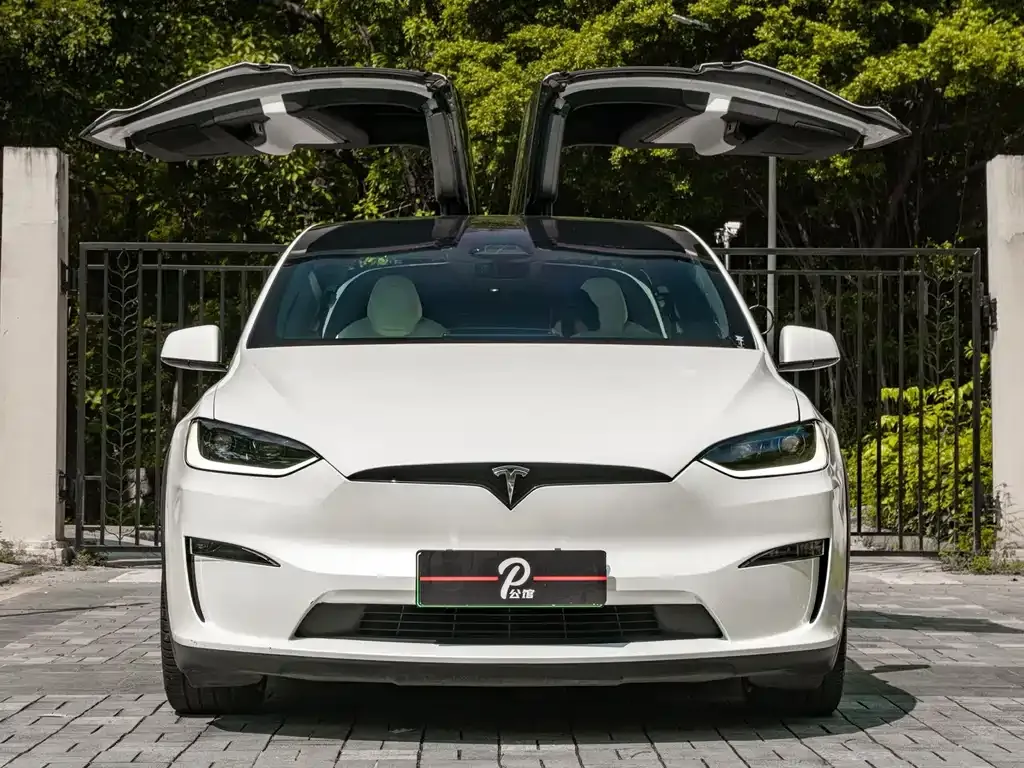 Tesla Model X — фото 8