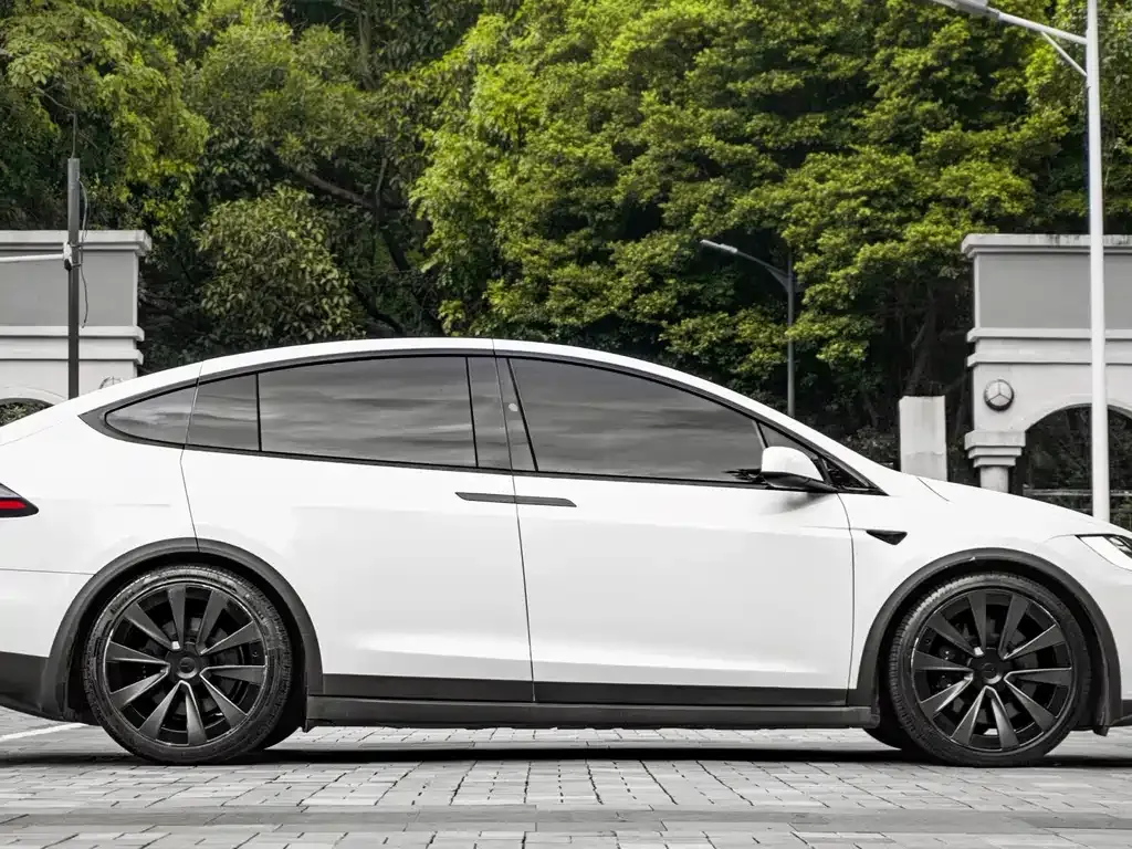 Tesla Model X — фото 10