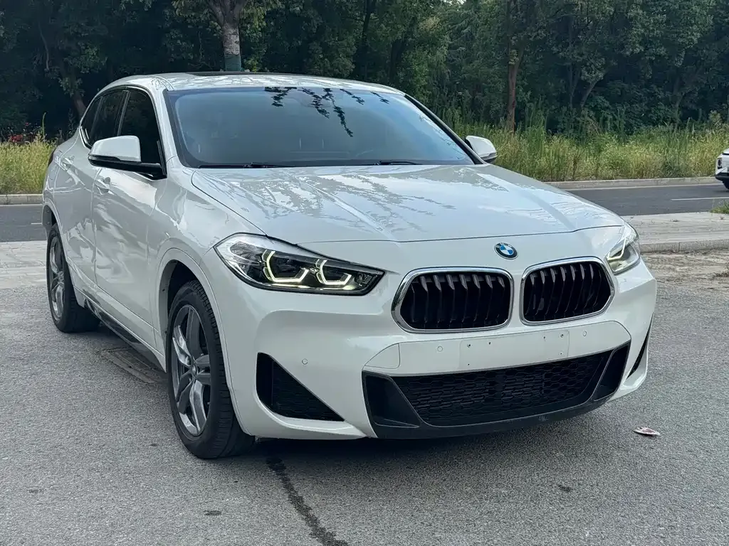 BMW X2 — фото 4