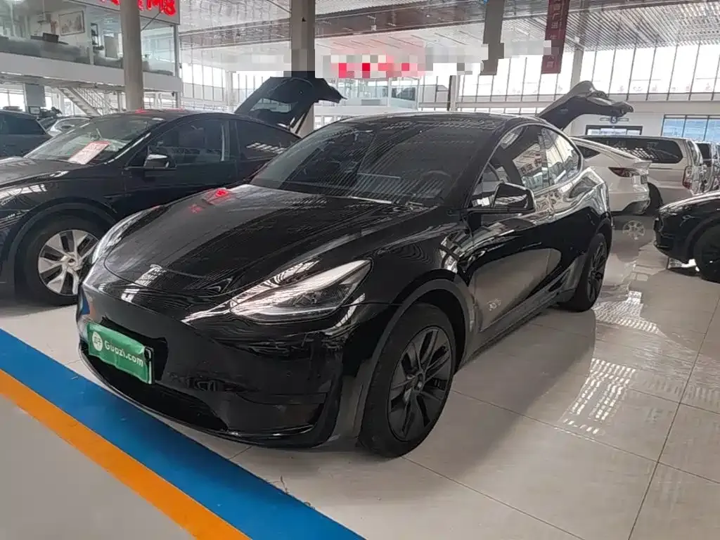 Tesla Model Y — фото 1