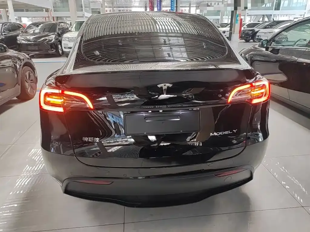 Tesla Model Y — фото 2
