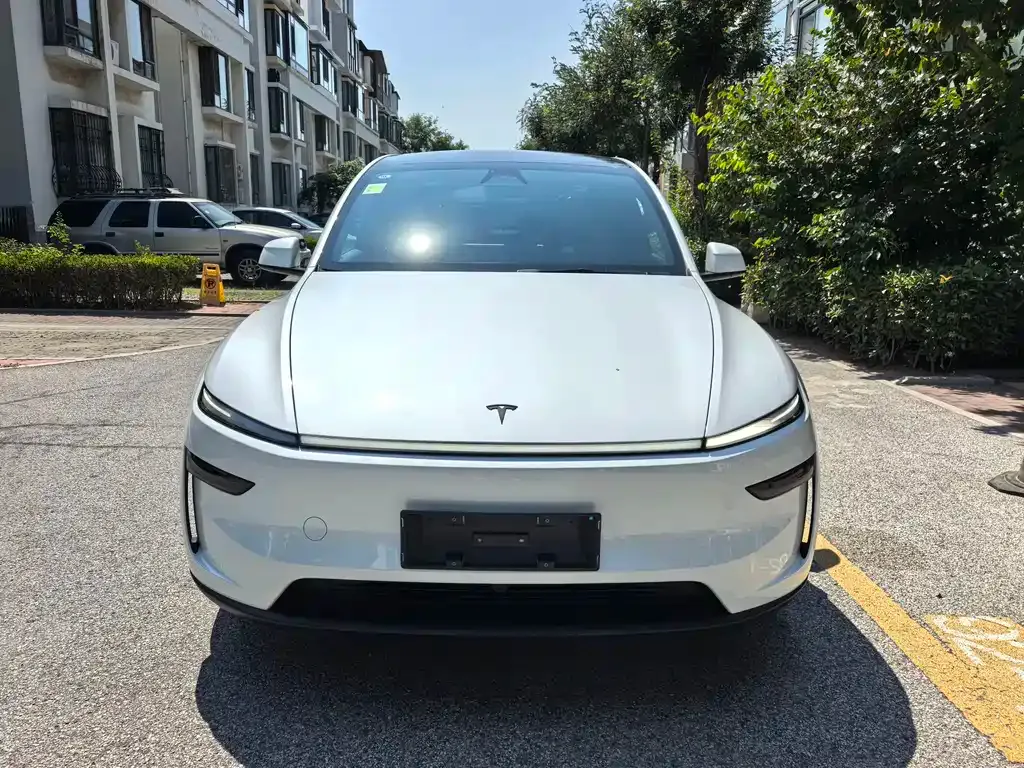 Tesla Model Y L — фото 6