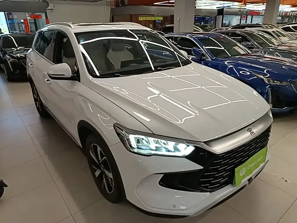 BYD Pro New Energy — фото 9