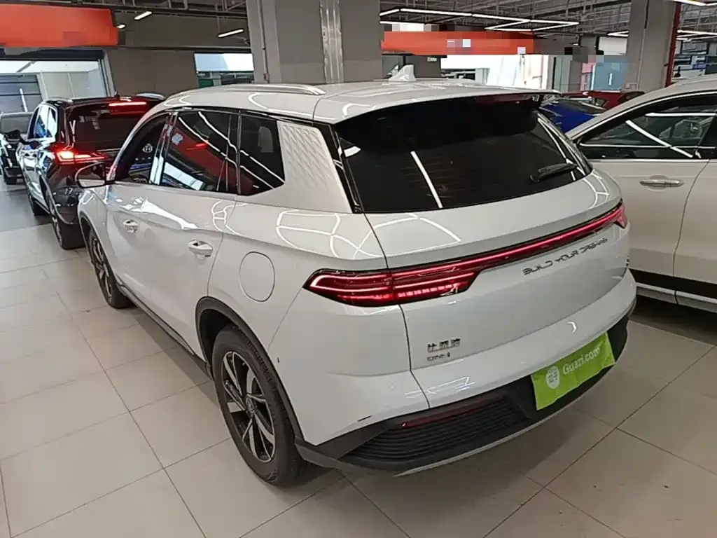 BYD Pro New Energy — фото 10