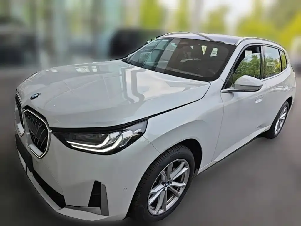 BMW X3 — фото 1