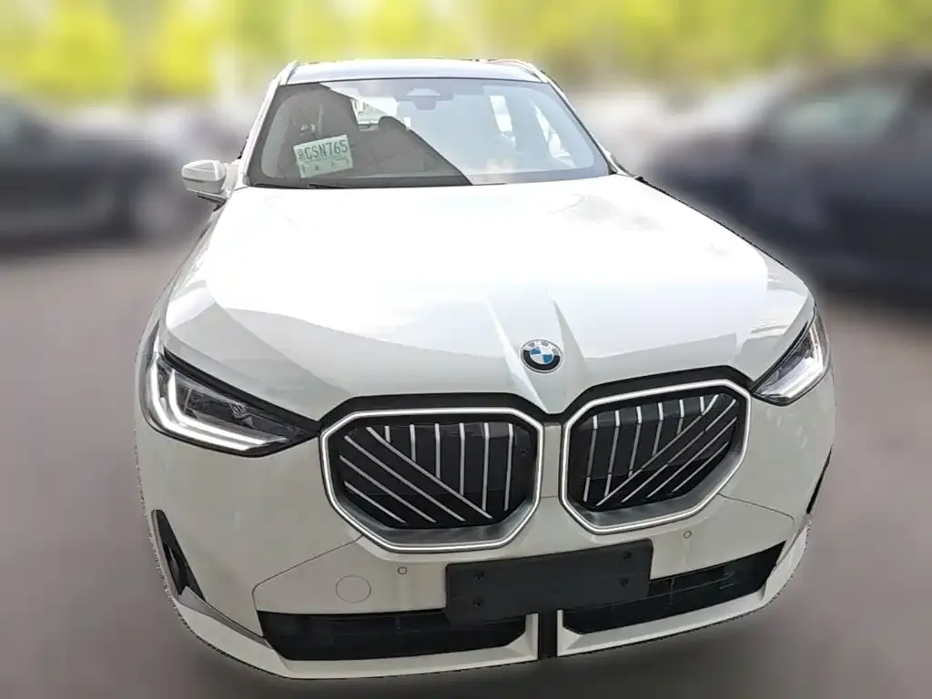 BMW X3 — фото 8