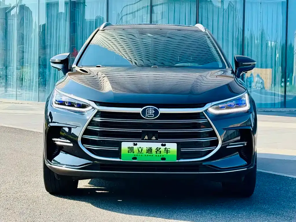 BYD Tang New Energy — фото 7