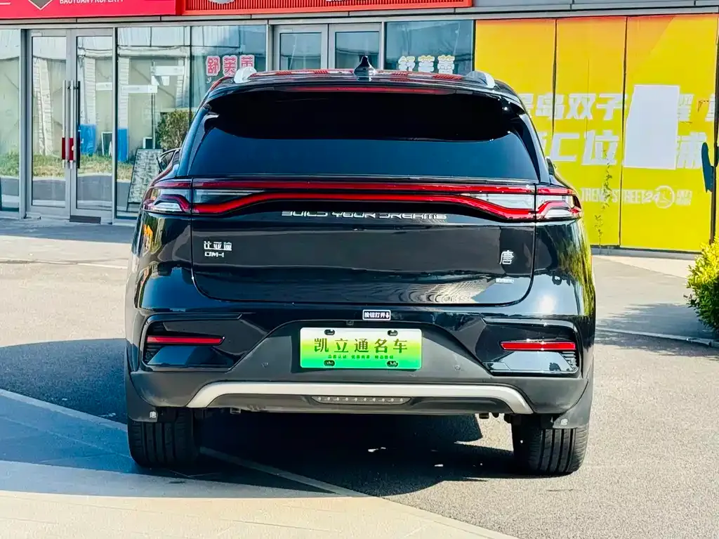 BYD Tang New Energy — фото 9