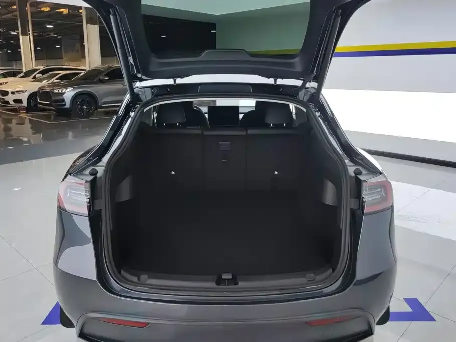 Tesla Model Y — фото 2