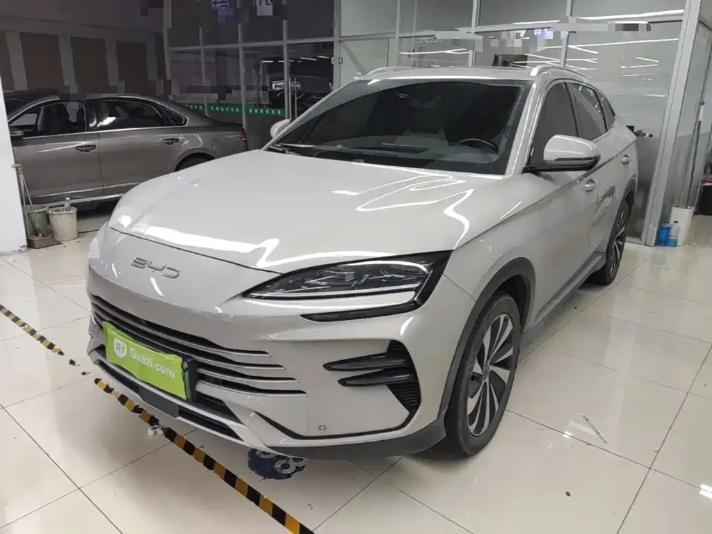 BYD PLUS New Energy — фото 1