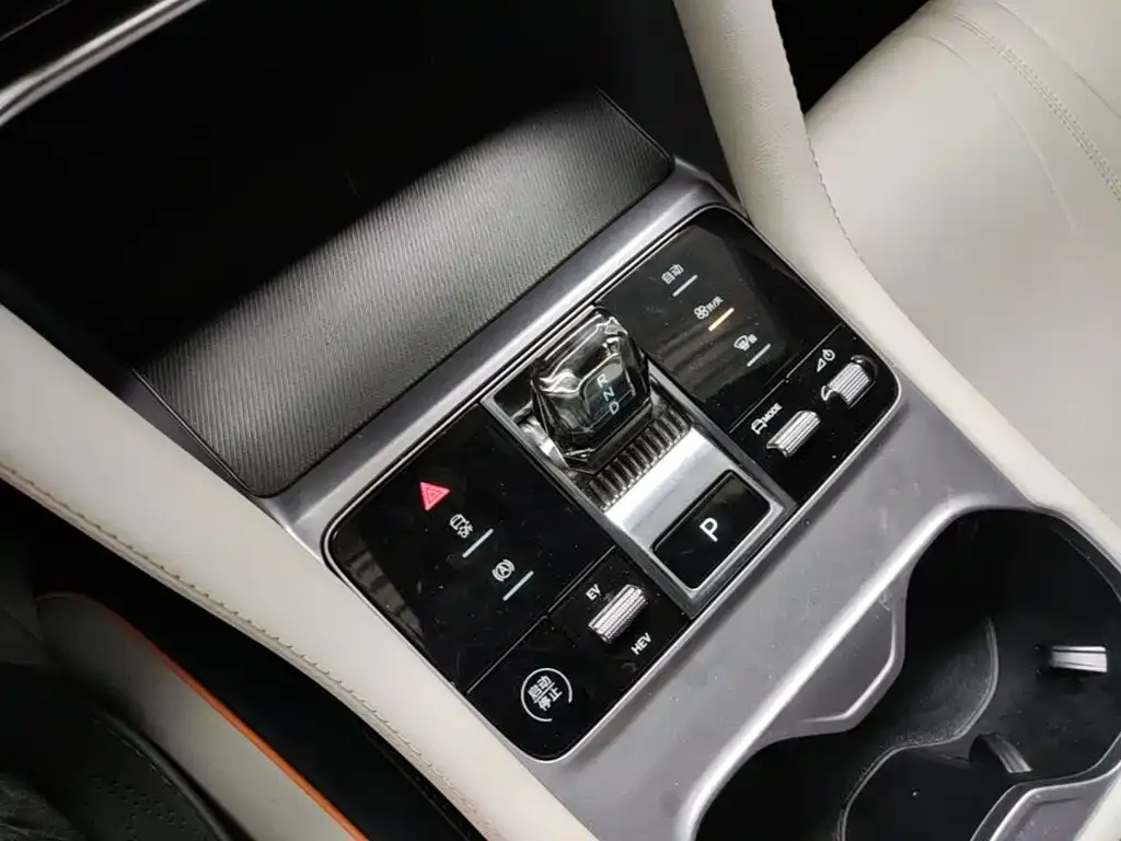 BYD PLUS New Energy — фото 3