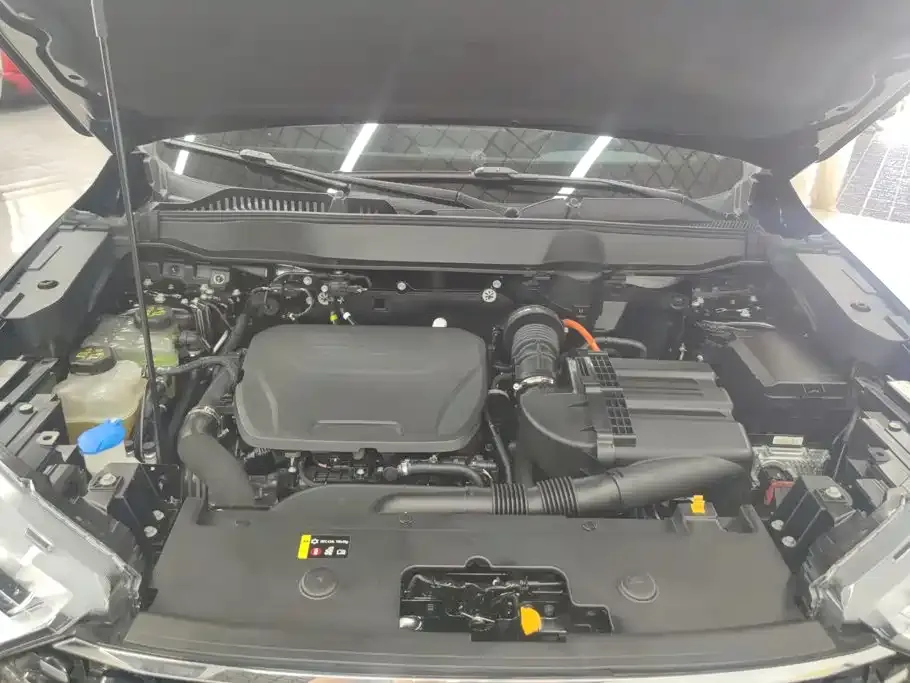 Haval H6 New Energy — фото 10
