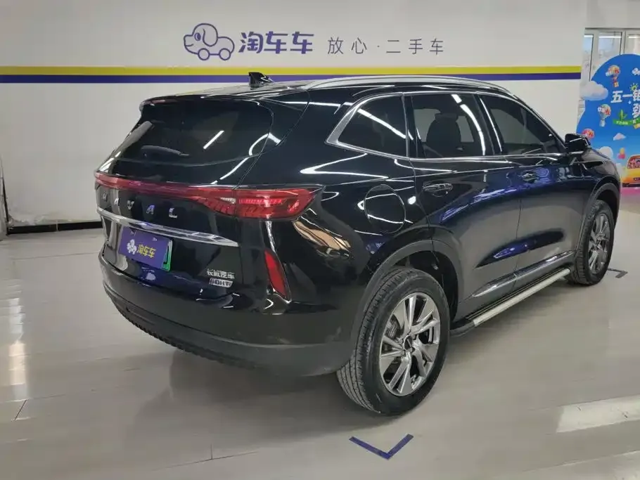 Haval H6 New Energy — фото 9