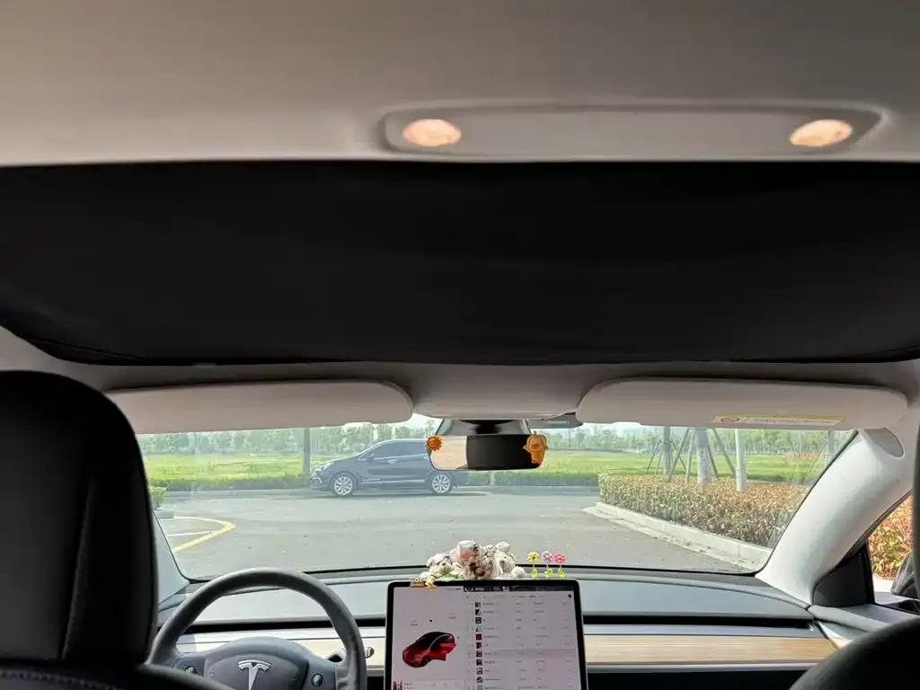 Tesla Model 3 — фото 2