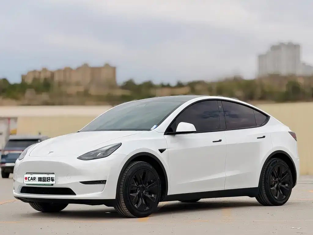 Tesla Model Y — фото 1