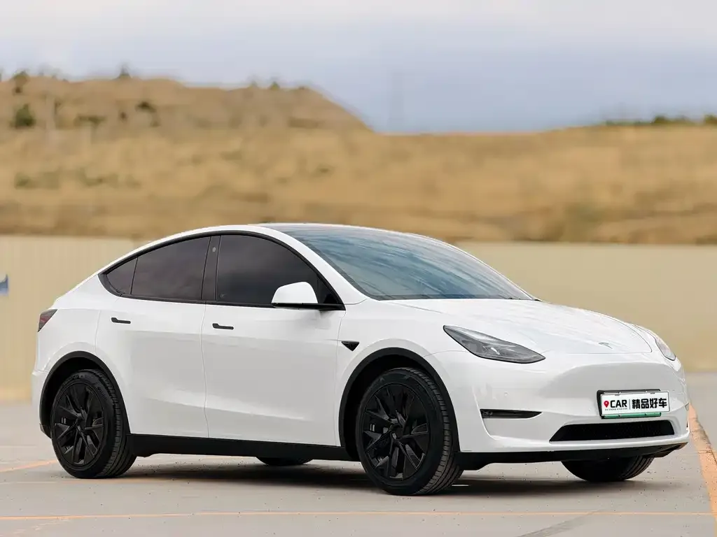 Tesla Model Y — фото 5