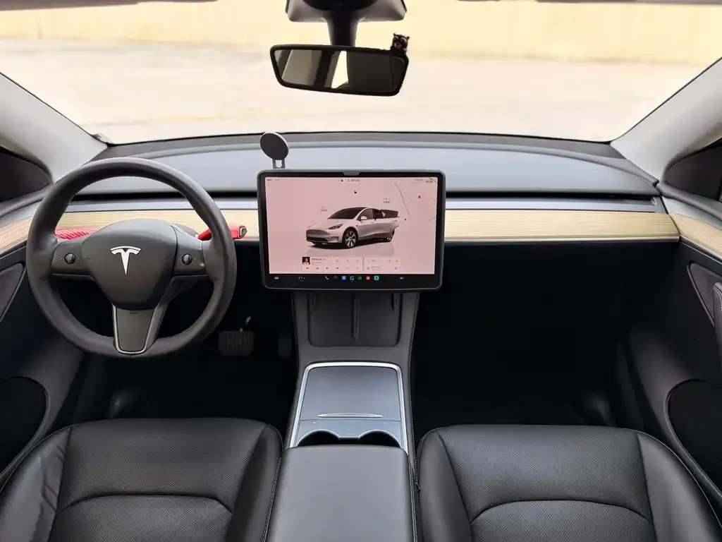 Tesla Model Y — фото 9