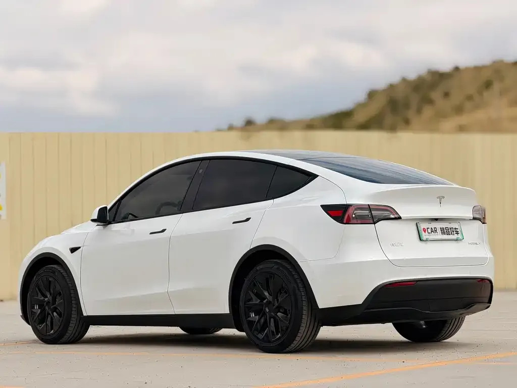 Tesla Model Y — фото 2