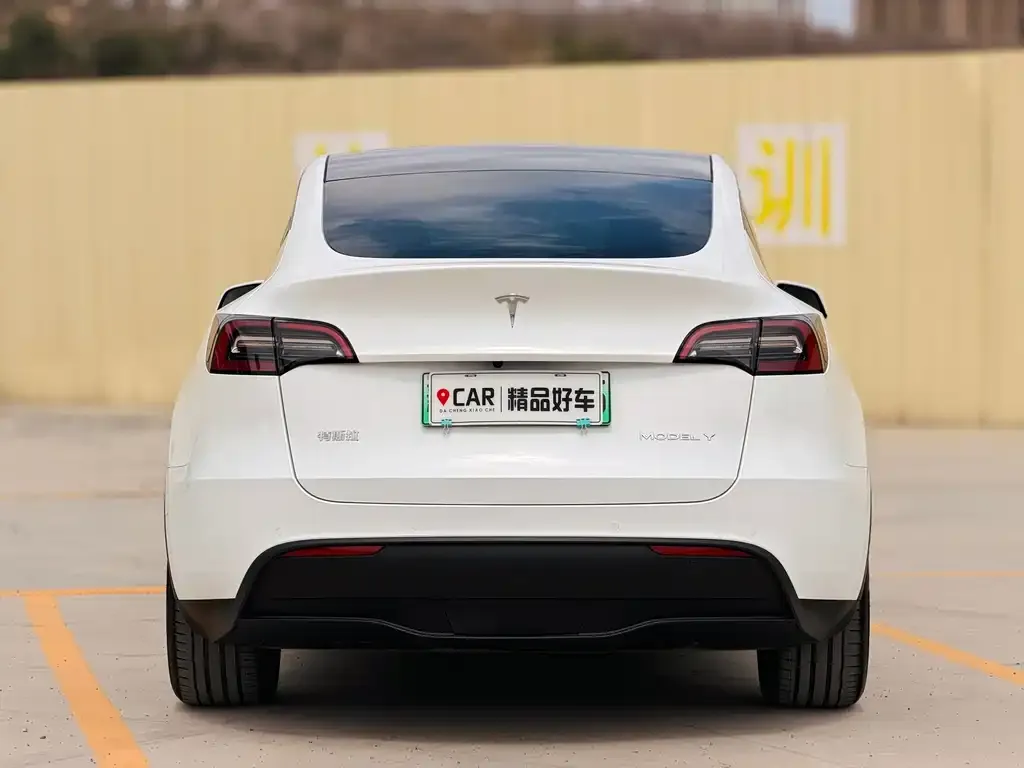 Tesla Model Y — фото 3
