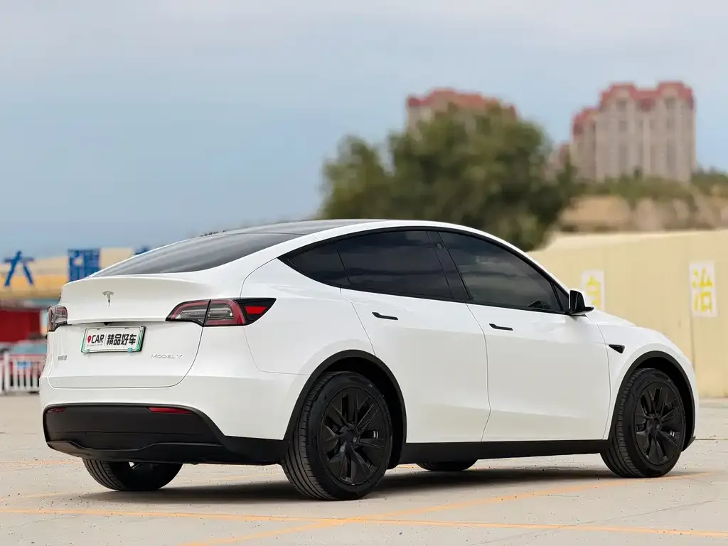 Tesla Model Y — фото 6
