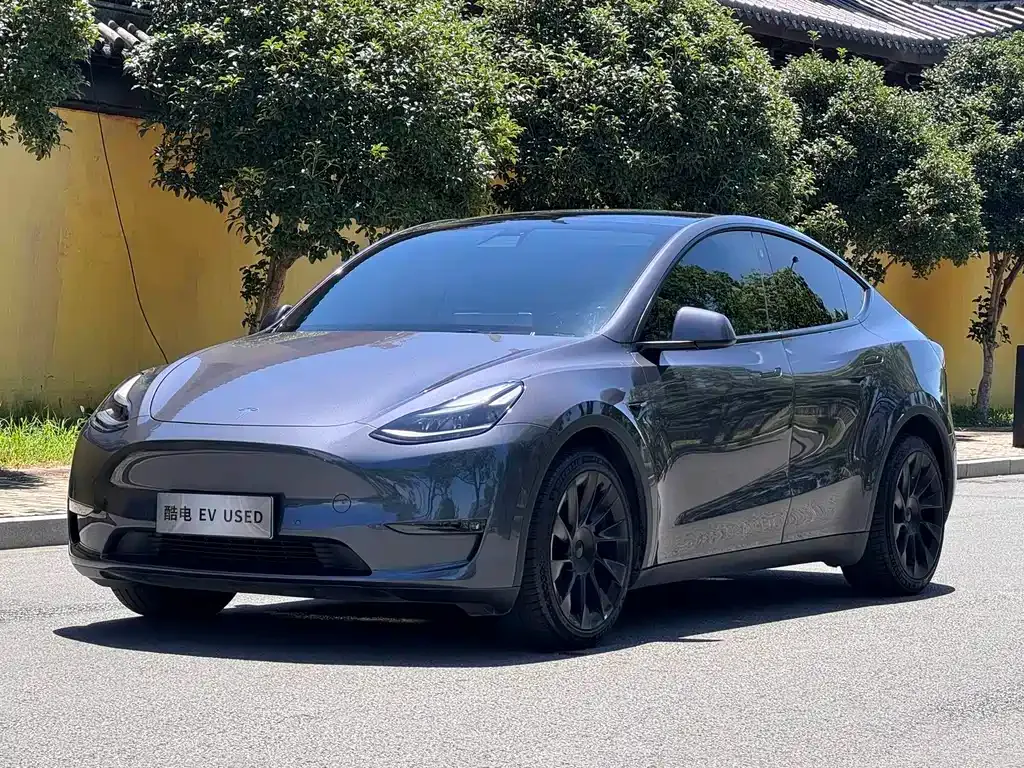 Tesla Model Y — фото 1