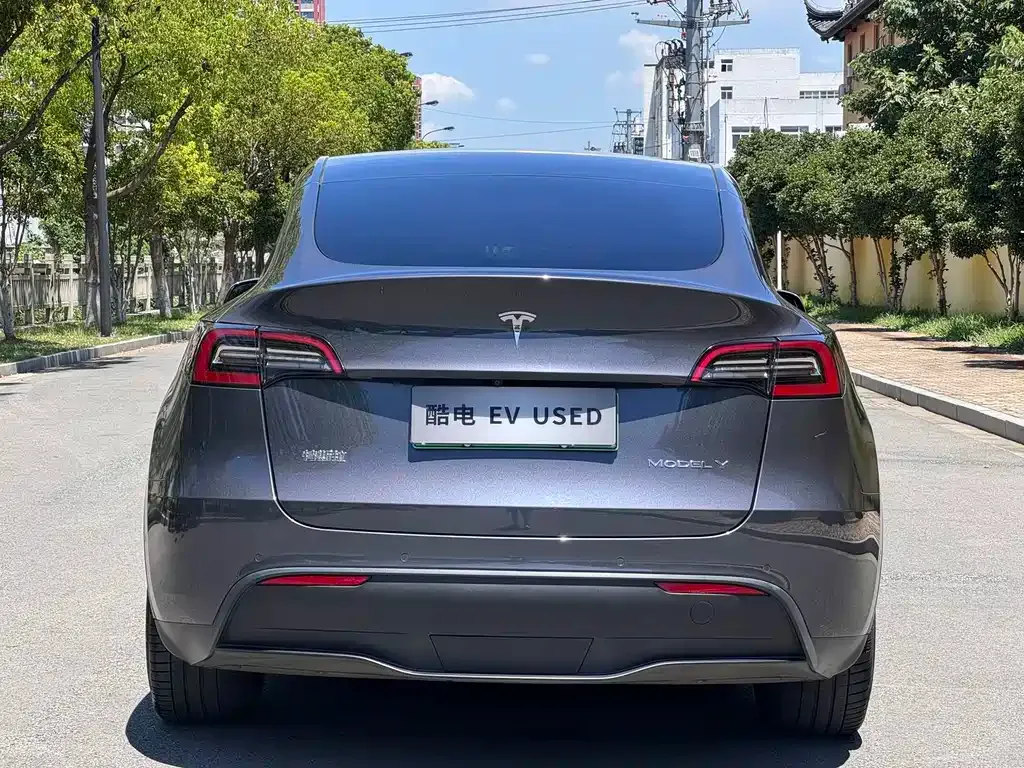 Tesla Model Y — фото 6