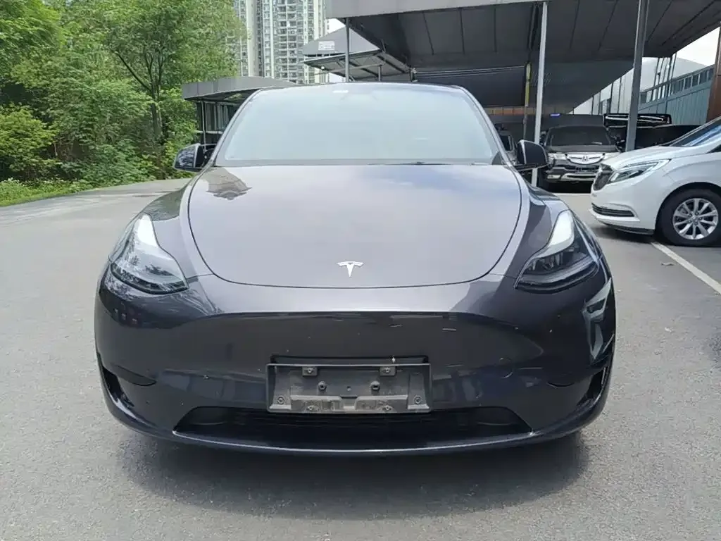 Tesla Model Y — фото 10