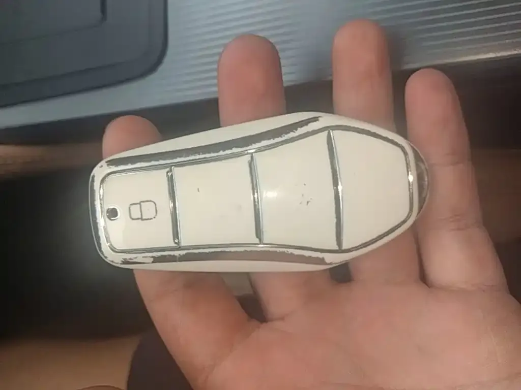 BYD L DM-i — фото 2