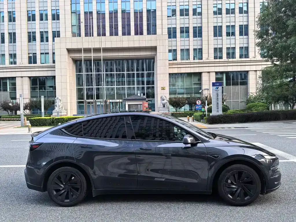 Tesla Model Y — фото 2
