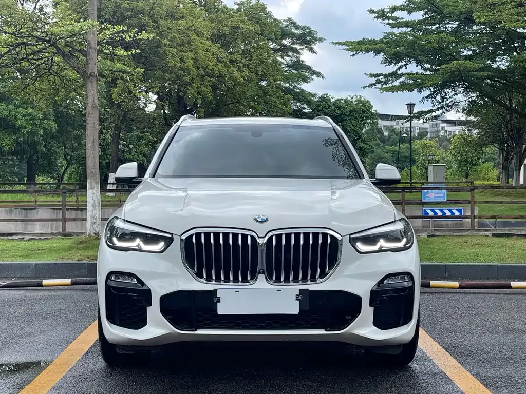 BMW X5 (Import) — фото 7