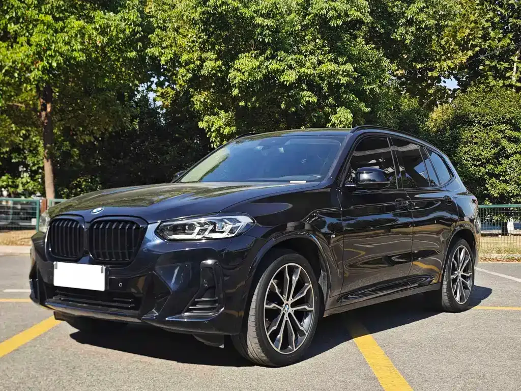 BMW X3 — фото 1