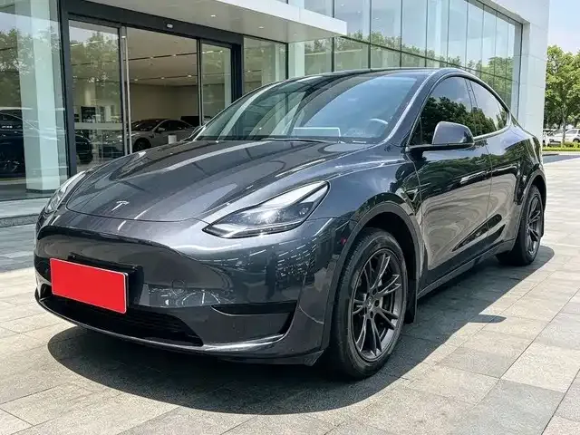 Tesla Model Y — фото 1