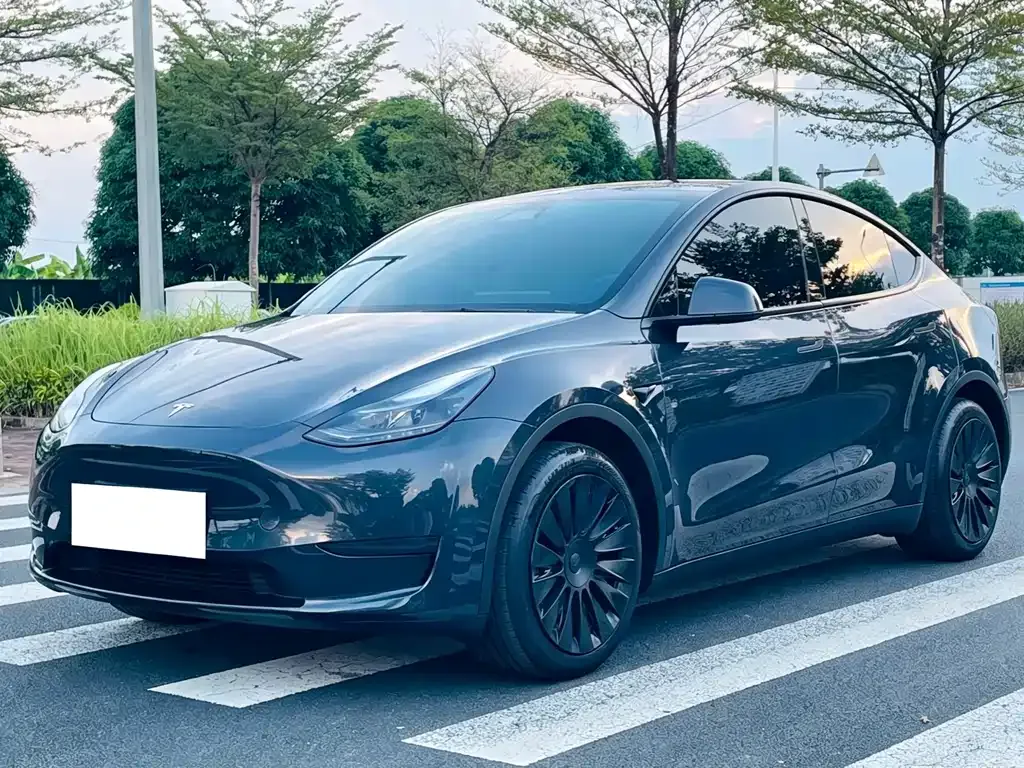 Tesla Model Y — фото 1