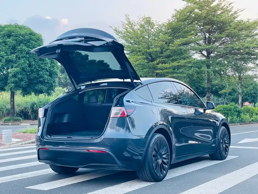 Tesla Model Y — фото 9