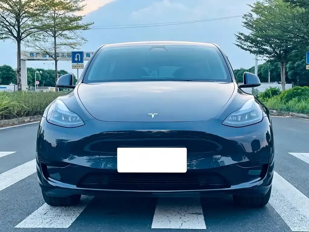 Tesla Model Y — фото 4