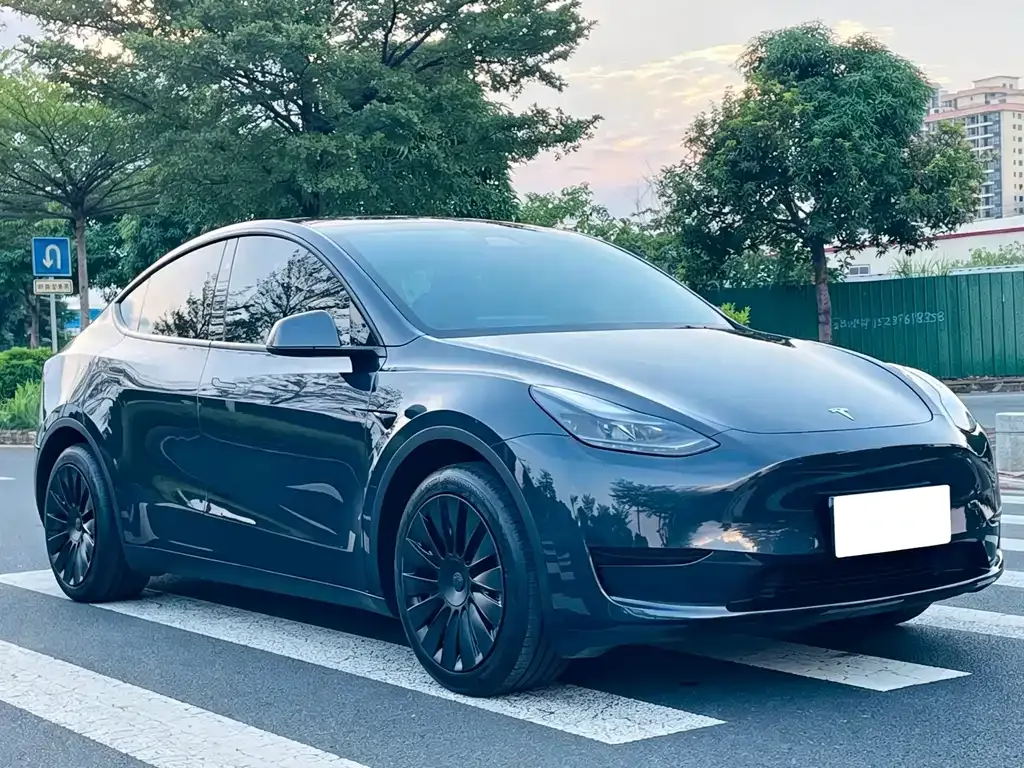 Tesla Model Y — фото 7